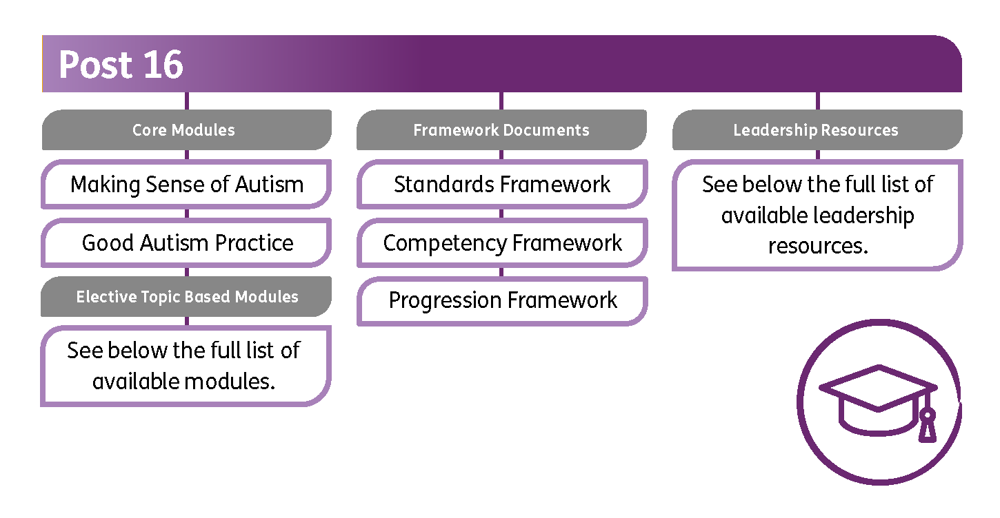 Post-16. Core modules: Making Sense of Autism, Good Autism Practice. Elective Topic Based Modules: See below, the full list of available modules. Framework documents: Standards Framework, Competency Framework, Progression Framework. Leadership Resources: See below, the full list of available leadership resources.