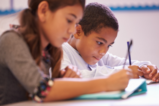 pupil studying in school